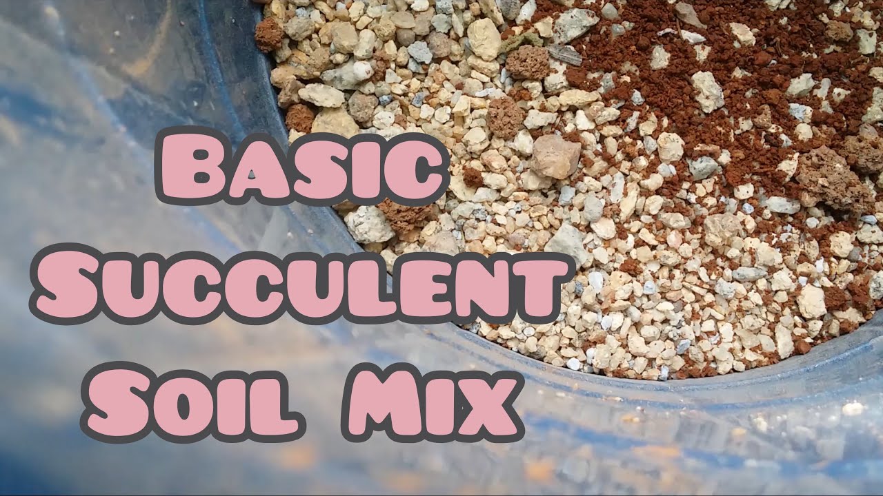 || HOW TO MAKE YOUR OWN SUCCULENT SOIL || BASIC SUCCULENT SOIL MIX ||