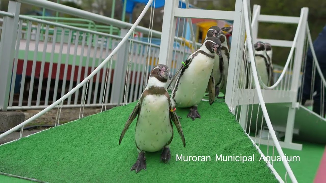 MURORAN, the enchanting city【English Version】