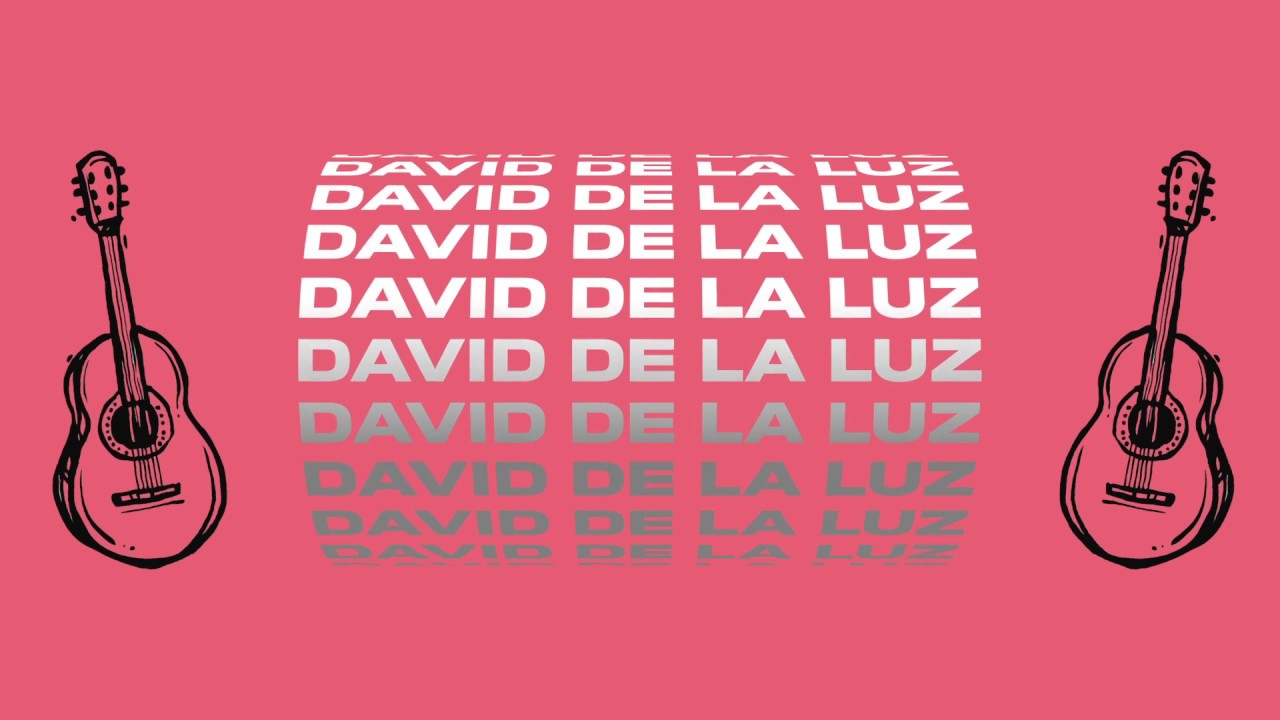 David de la Luz - Perfecta [Lyric Video]