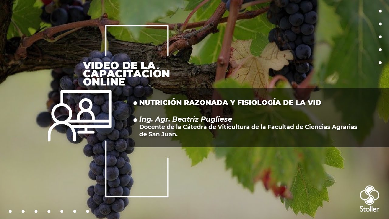 Nutrición razonada y fisiología de la vid