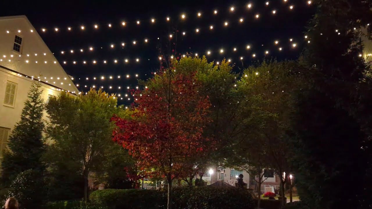 Alpha Loop Night Lights | Alpharetta, GA