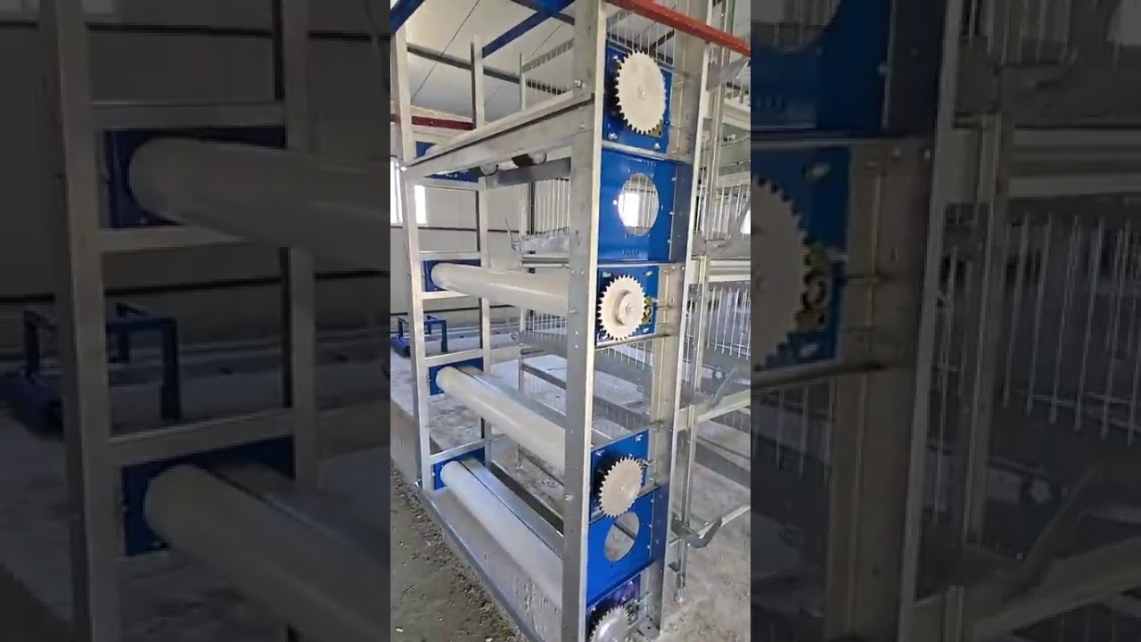 2025 YILININ SON 10.000 LİK YUMURTA KAFESİ KURUYORUZ SENEYE GÖRÜŞÜRÜZ  😃😃😃 KAŞ KARADAĞ DAANTALYA DA