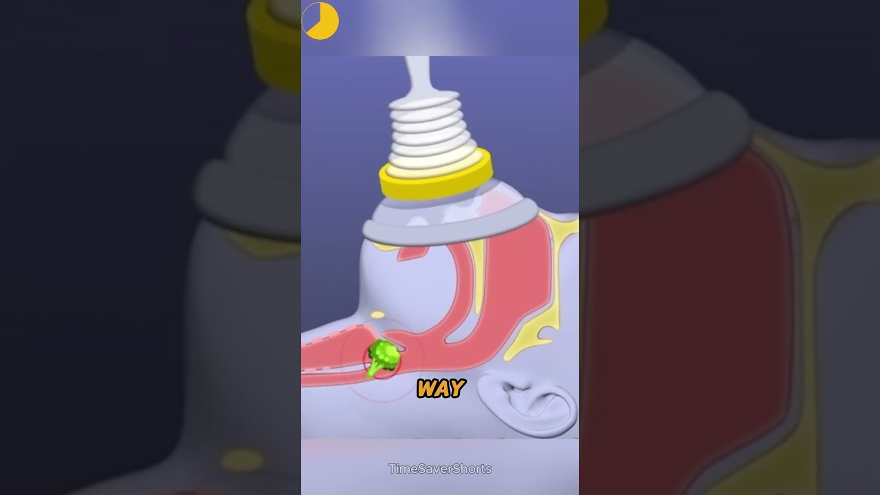 LifeVac: The Device That Stops Choking Instantly 🚨🛡️