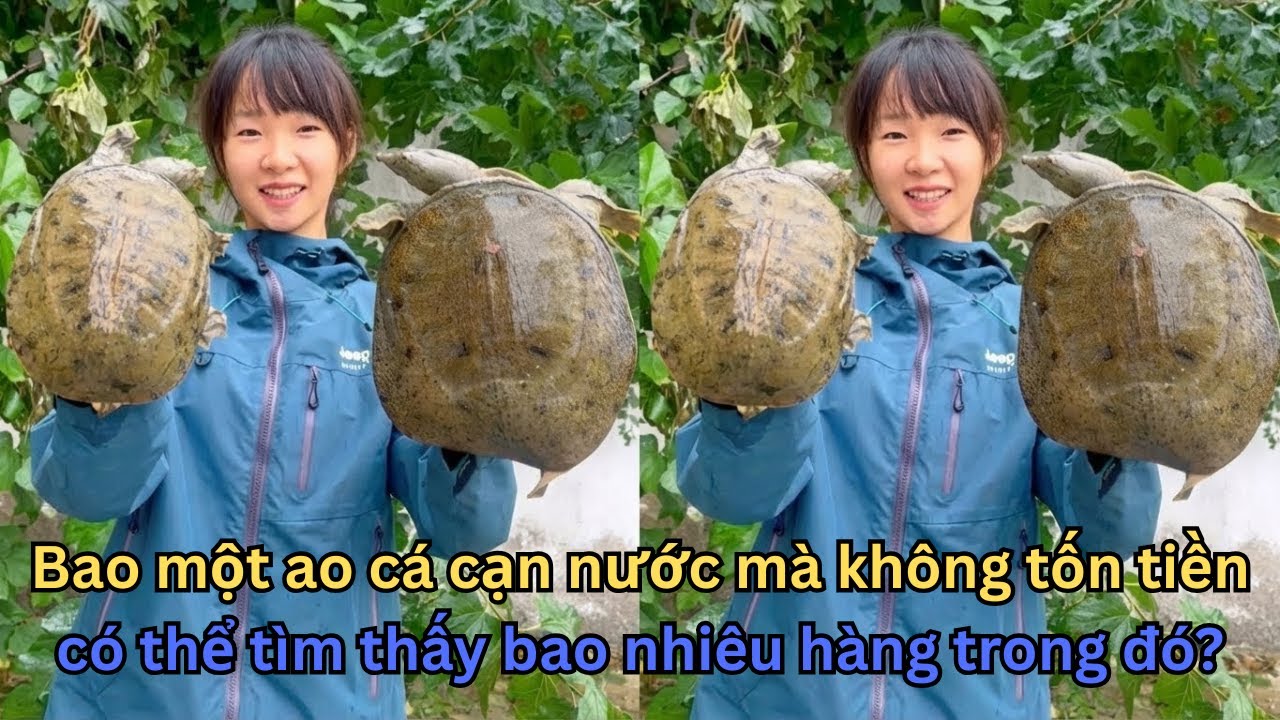 MÓN HỜI 0 ĐỒNG: Được Ông Cụ Cho 