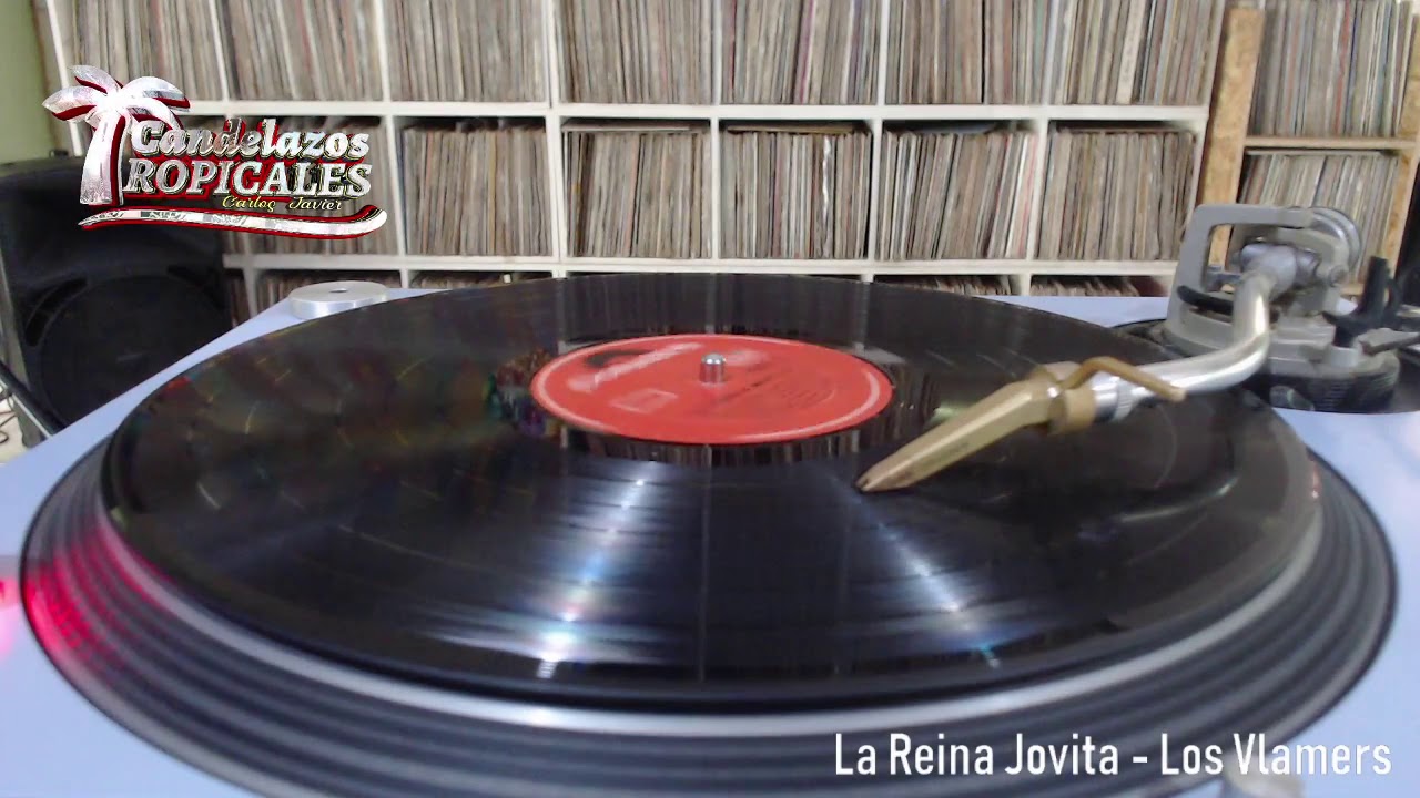La Reina Jovita - Los Vlamers