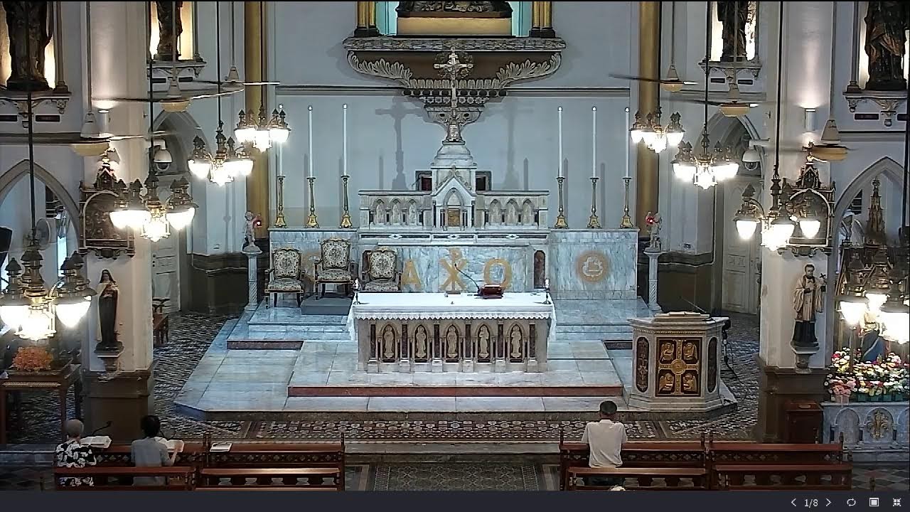 วัดแม่พระลูกประคำ กาลหว่าร์ (พิธีบูชาขอบพระคุณ ประจำวัน)
