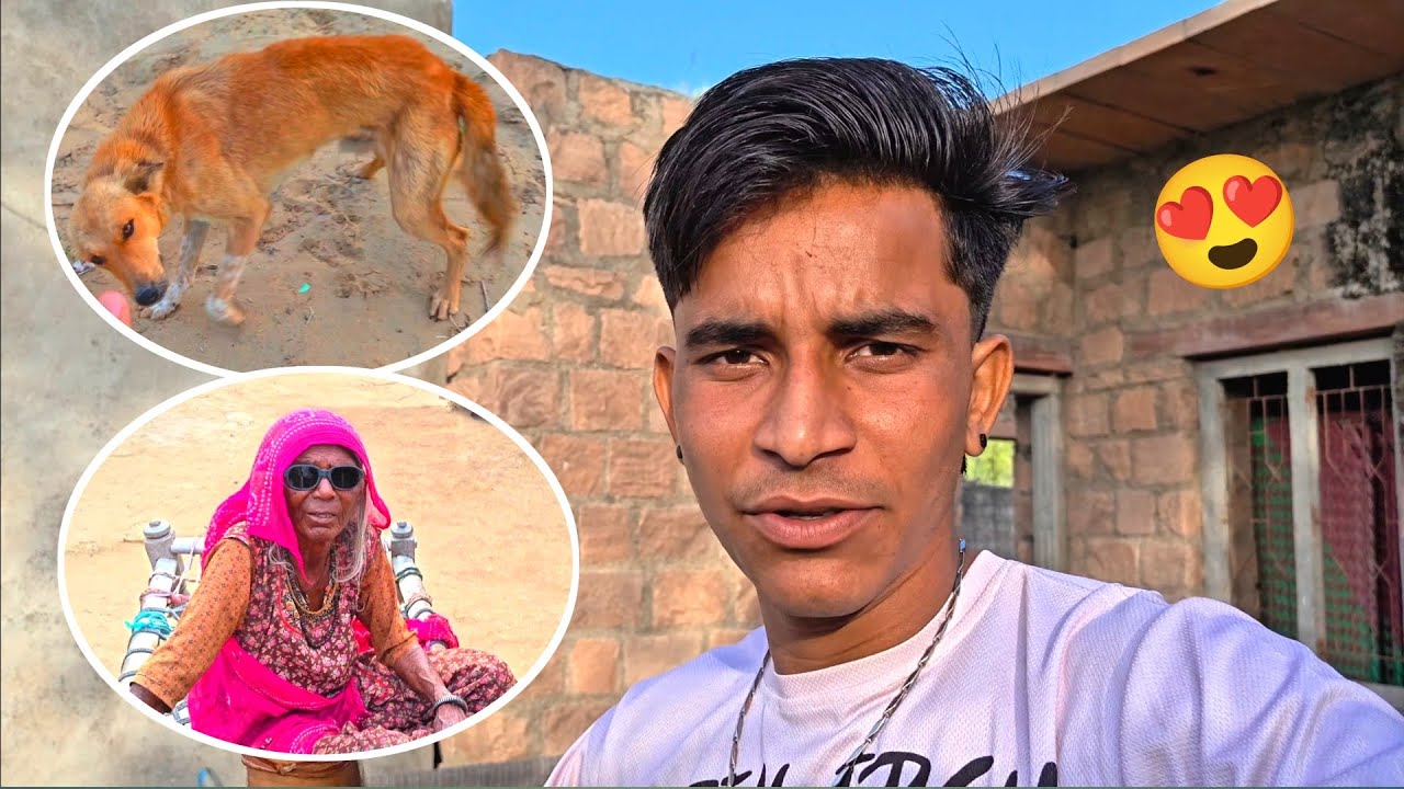 Aaj Veerpal ke Khet Gya Jeera Katne 🥰 | Rockstar Bhaii 