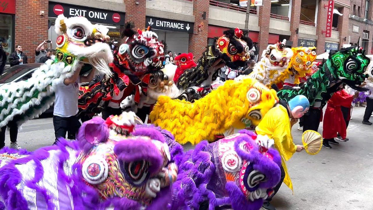 Tons of Lions - Boston Chinatown Lion Dance Parade