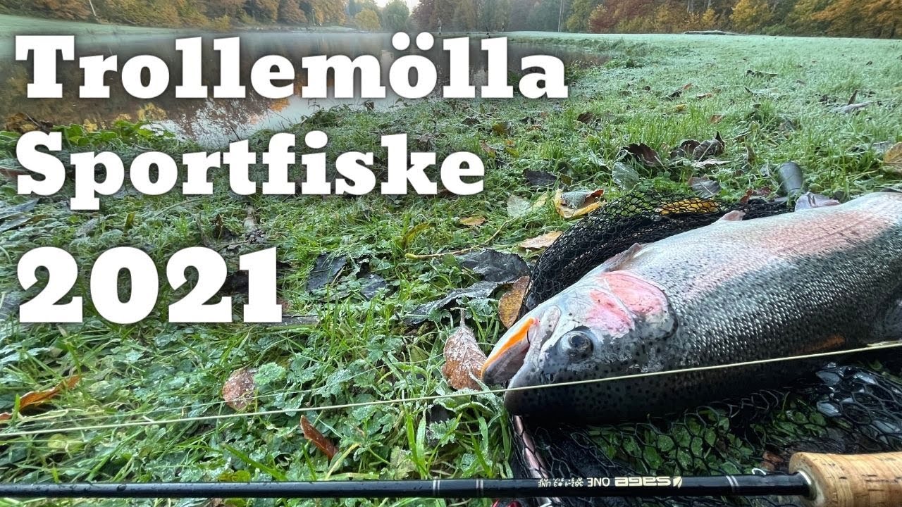 Trollem&ouml;lla Sportfiske | 2021 | En Mega go tur