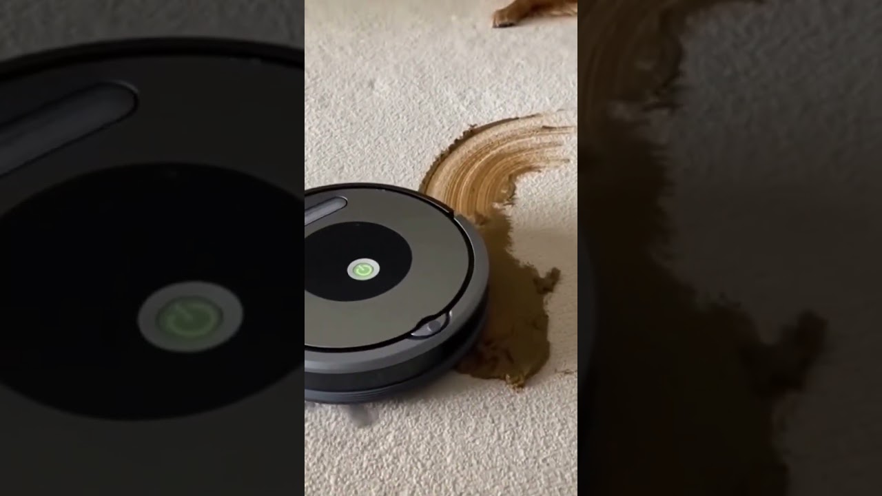 Roomba vs dog poo and smeared everywhere. #shorts #sora #ai #dog #funny