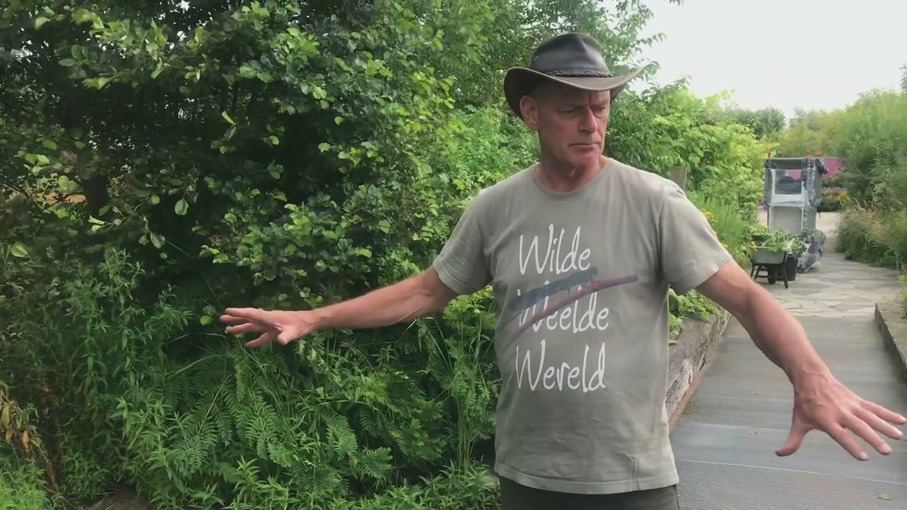 Wilde Weelde Wereld op Appeltern - De Natuurlijke Vijver