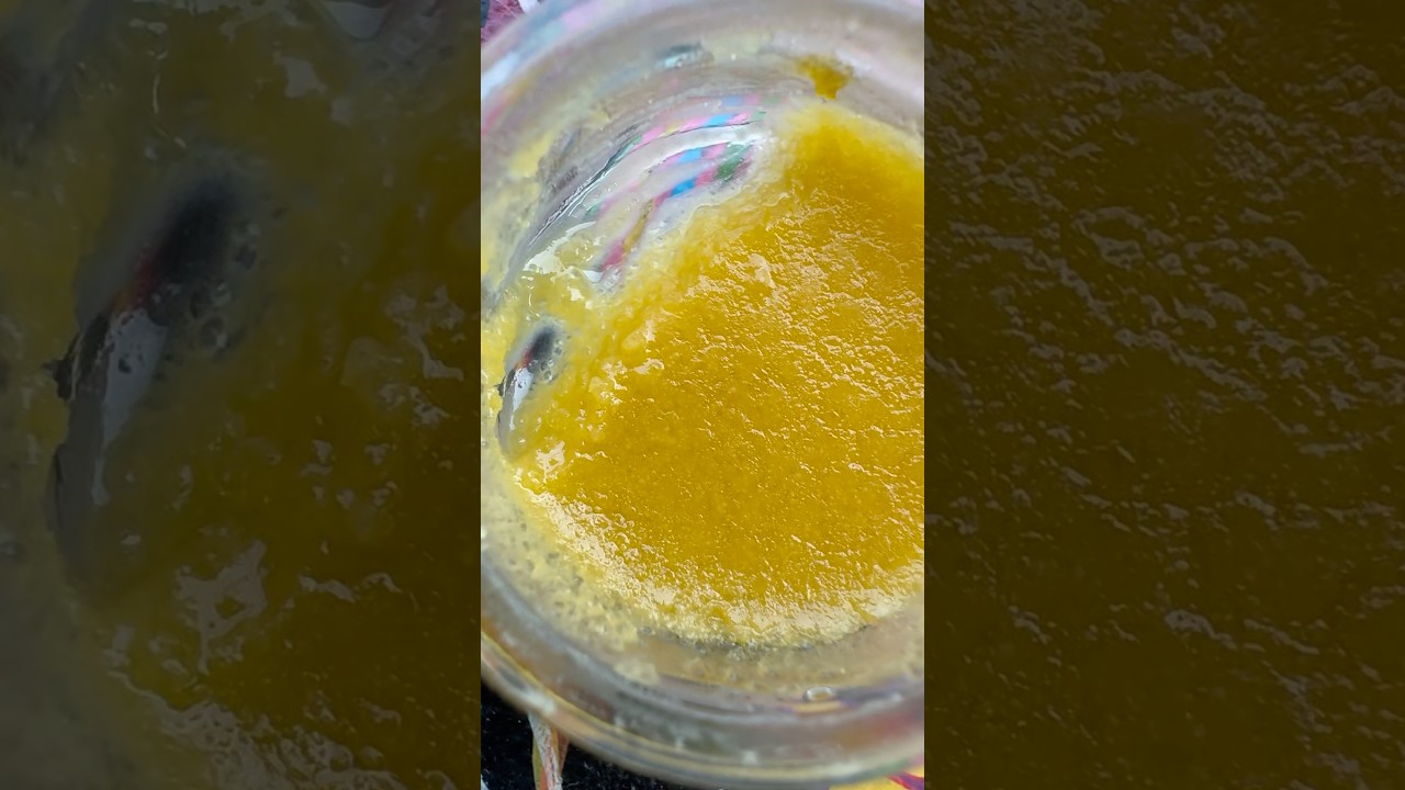 Lemon Sour Diesel 🍋