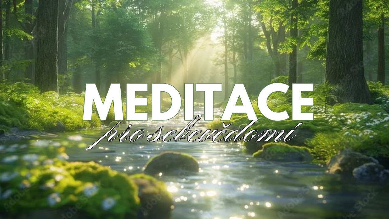 MEDITACE NA SEBEVĚDOMÍ 🫶🫴💗 |ZMEŇ SVŮJ ŽIVOT DEN 54 z 365  #zdraví #sebevědomí #meditace