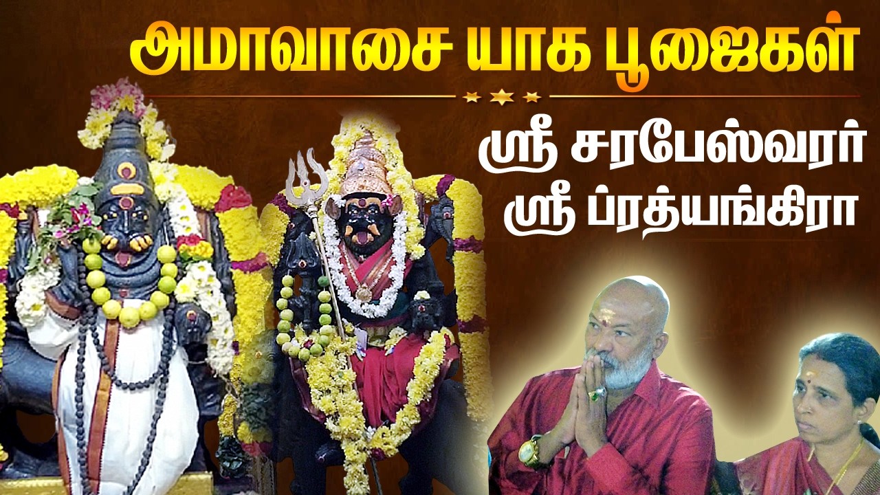 🔥🔥மாசி அமாவாசை மகா ப்ரத்யங்கிரா ஸ்ரீ சரபேஸ்வரருக்கு சிறப்பு யாக அபிஷேக ஆராதனைகள்/ சங்கரன்பாளையம்