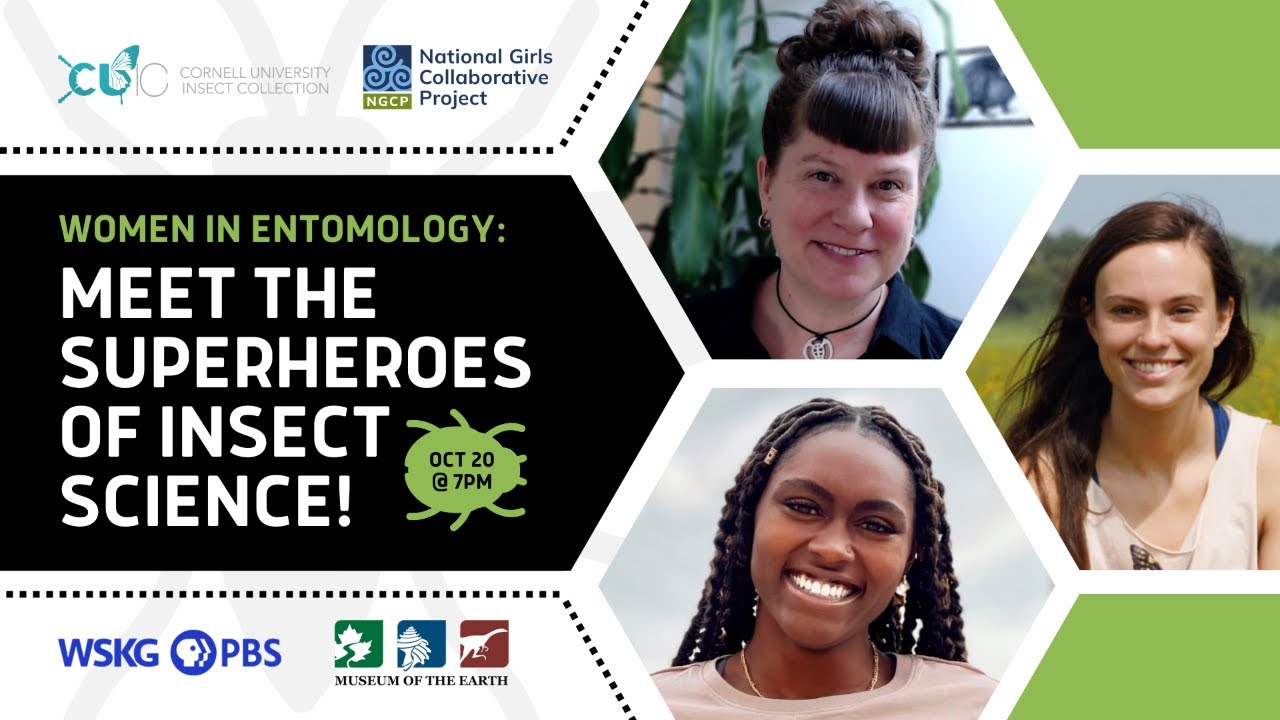 Women in Entomology: Meet the Superheroes of Insect Science