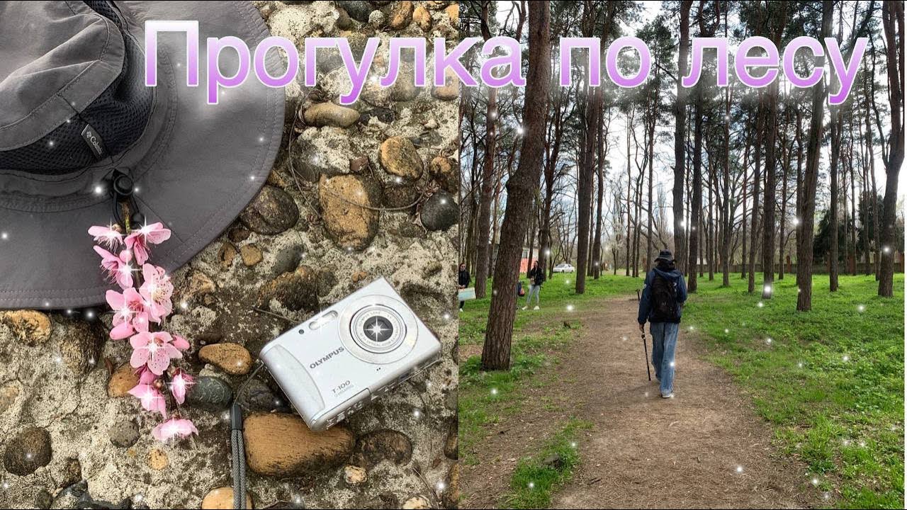 ✧ VLOG ПРОГУЛКА ПО ВЕСЕННЕМУ ЛЕСУ ✧ АПРЕЛЬ 2023