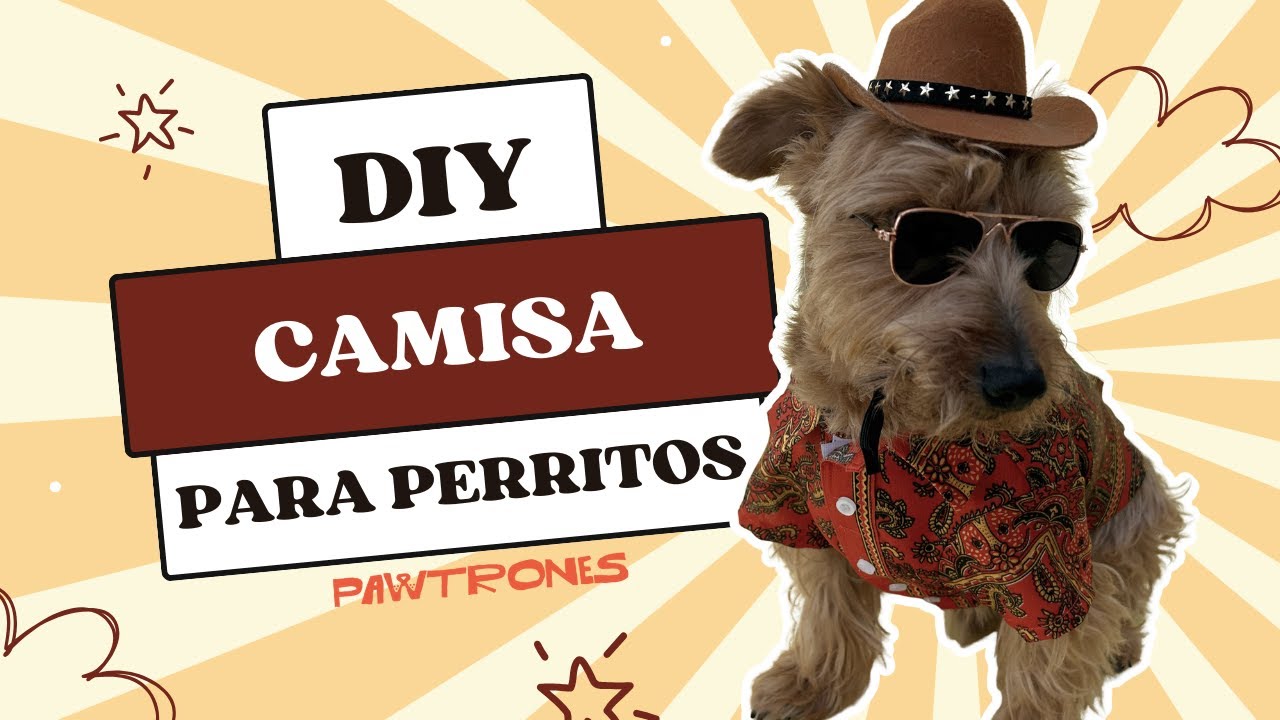 DIY Camisa para Perros | Tutorial de costura paso a paso (Pawsome Shirt)