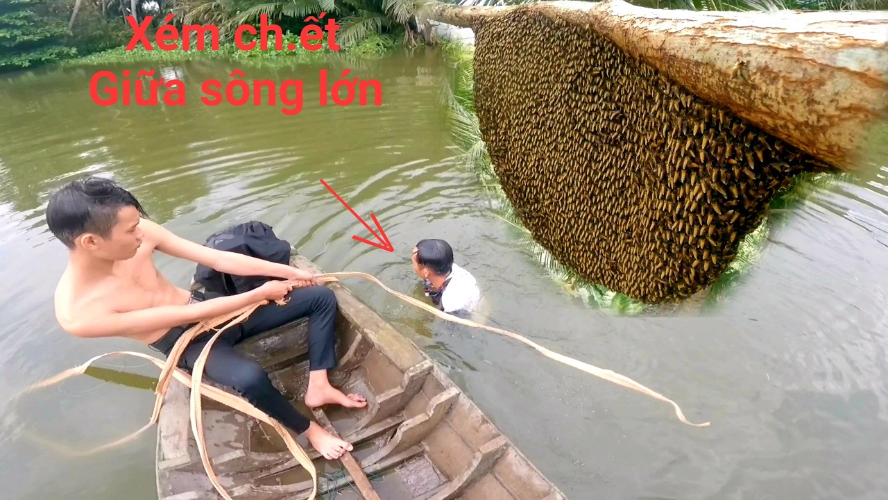 Chuyến đi bắt ông bằng vỏ lãi xém bỏ mạ.ng giữa sông vì gặp phải chuyện này
