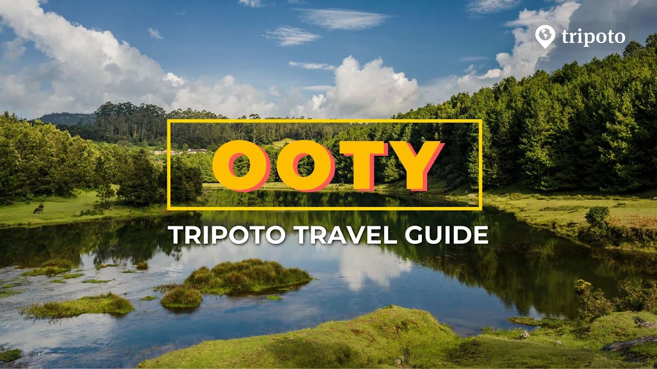 Escape to the Nilgiris: A 3-Day Guide to Immersing in Ooty & Coonoor’s Scenic Splendor!