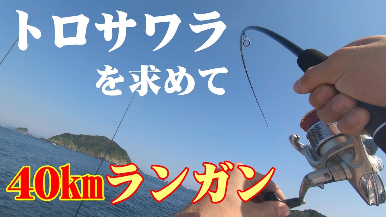 【釣り】サワラを求めて、船で40㎞ランガン　伊勢市