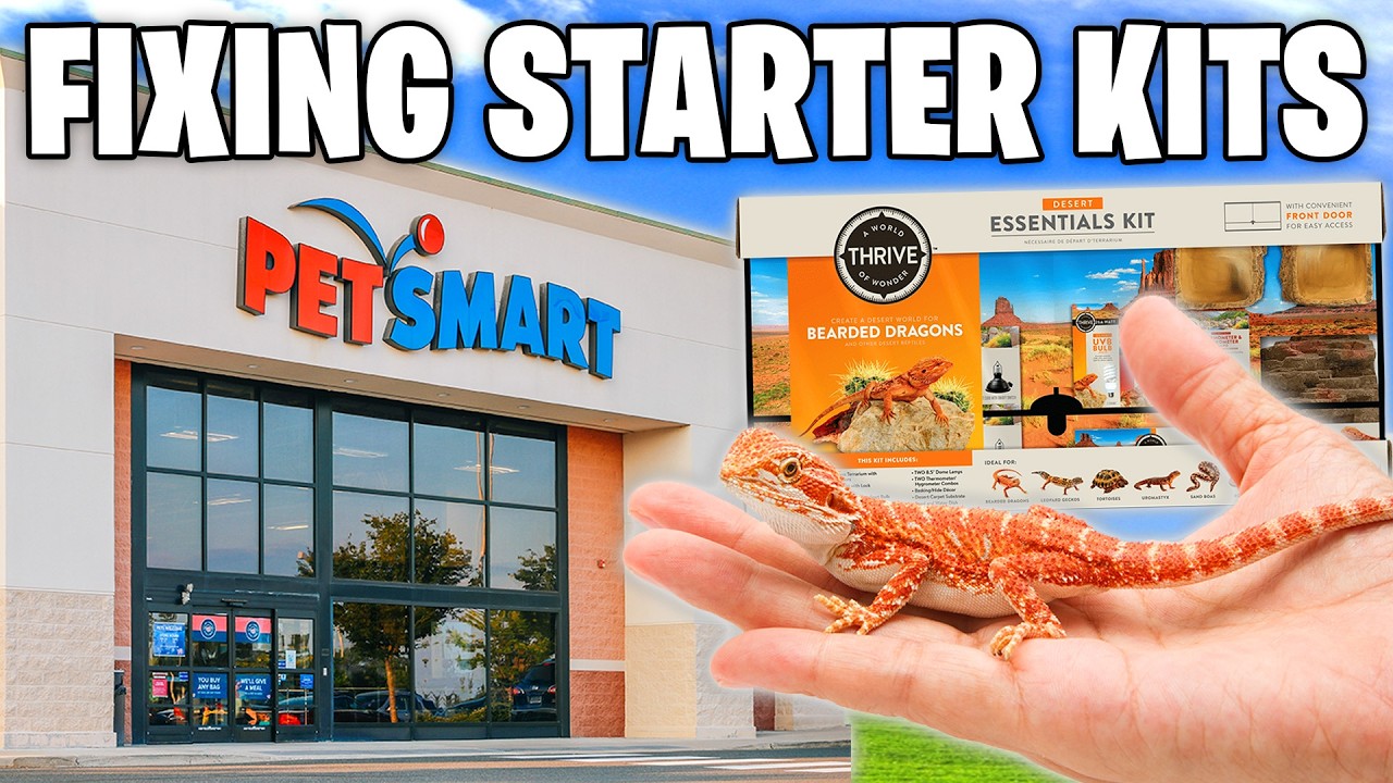 Я починил стартовый набор Bearded Dragon от PetSmart