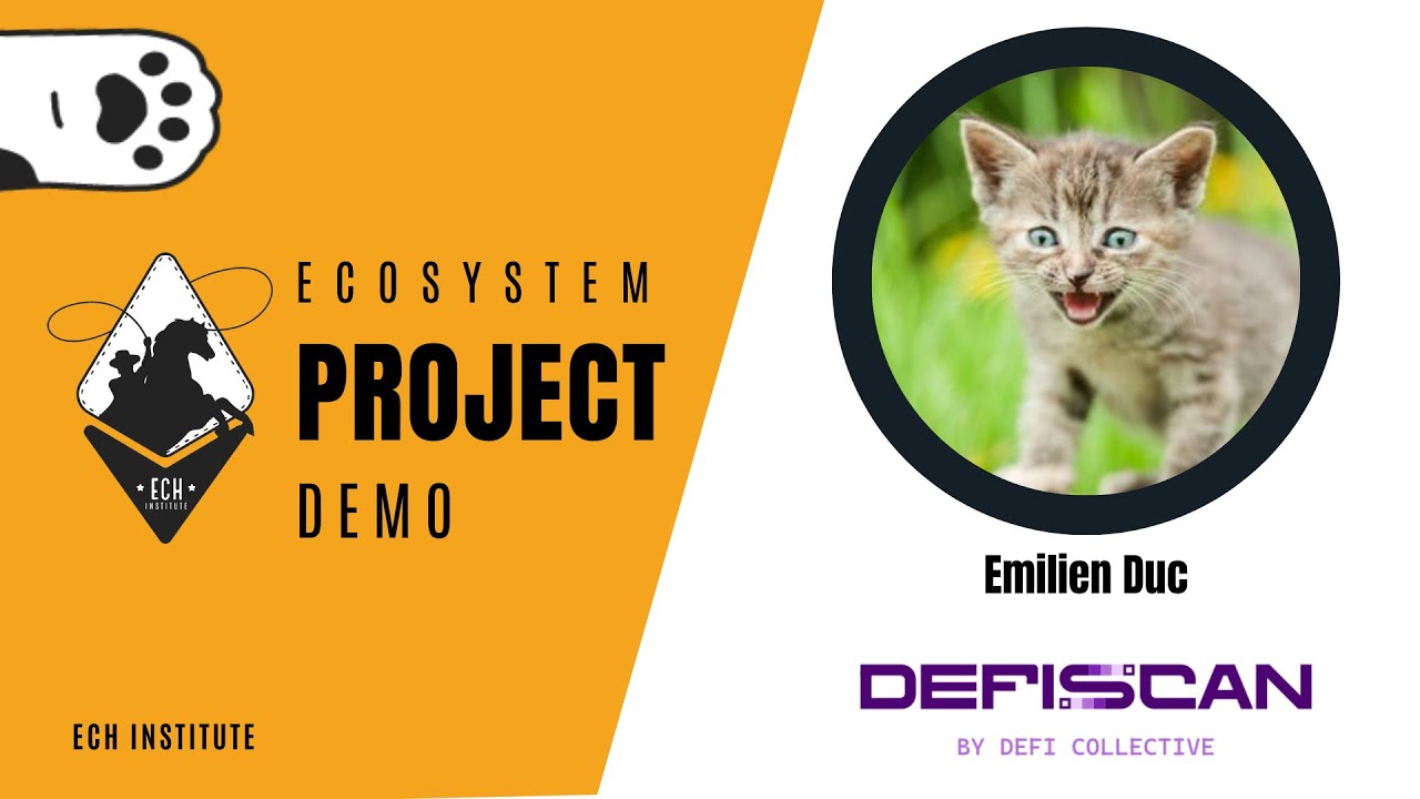 Decentralization in DeFi: DeFiScan with Emilien Duc | EPD #27