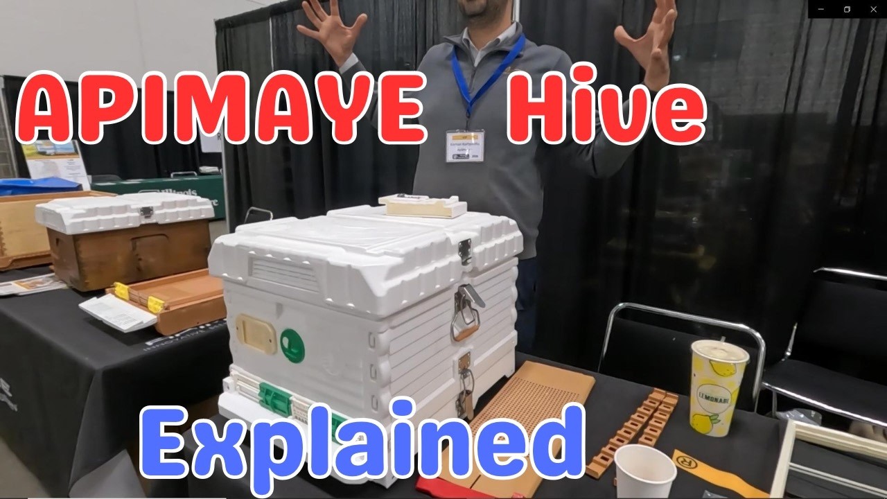 Apimaye Hive Walkthrough