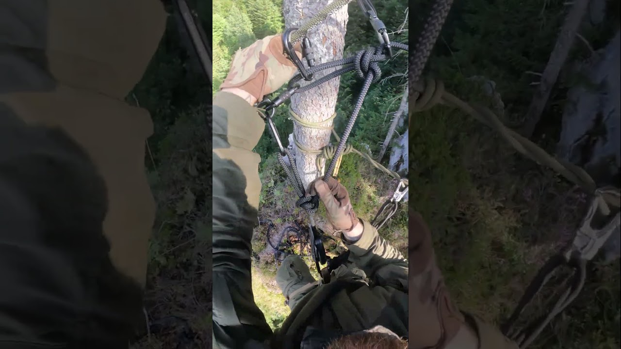 Mountain Diagonal Highline Setup with Rigging Plates