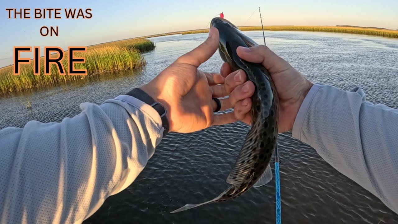 florida trout fishing beautiful Amelia Island