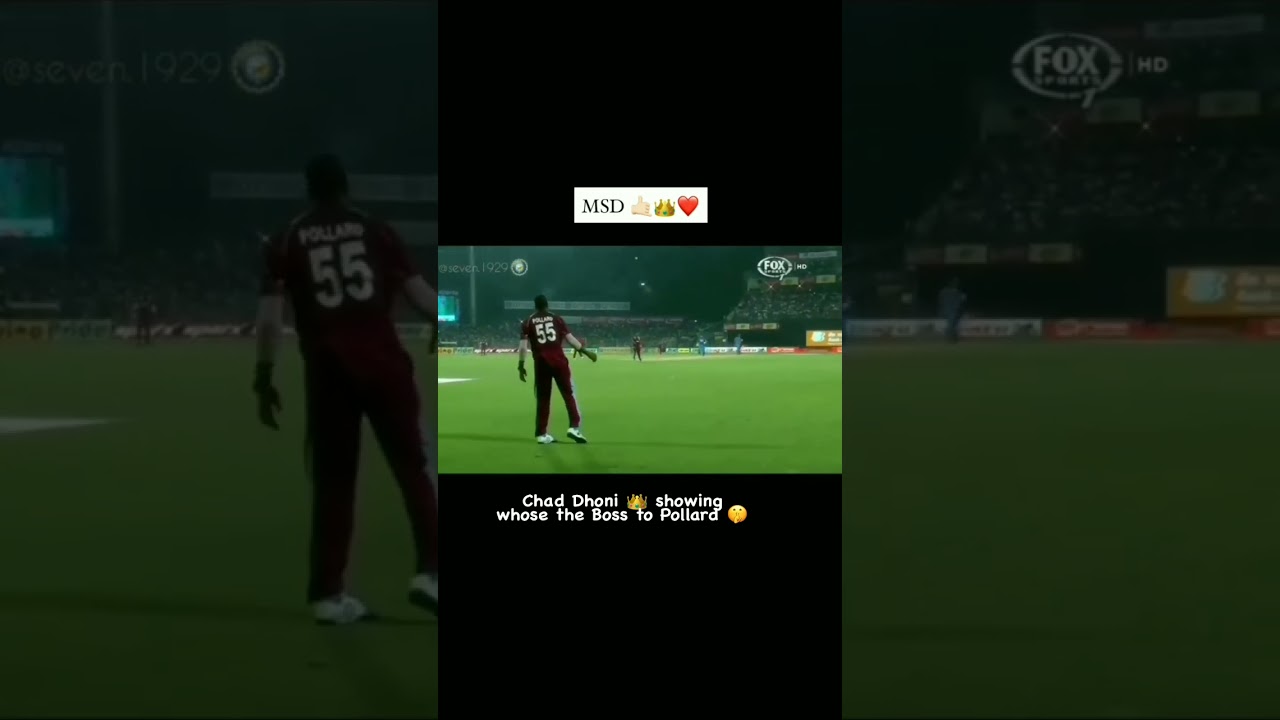 msd vs Pollard