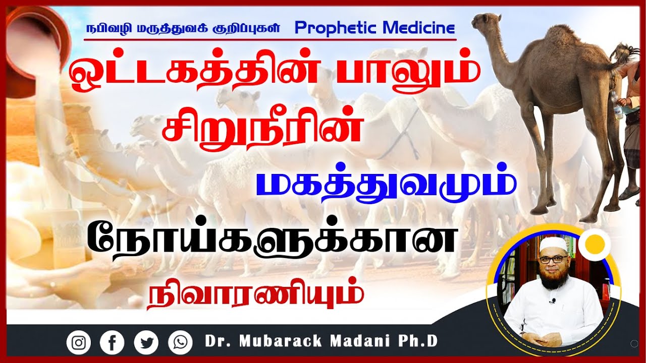 ஒட்டகத்தின் பாலும் சிறுநீரின் மகத்துவமும் நோய்க்கான நிவாரணியும் ┇ Prophetic Medicine ┇ Dr Mubarak