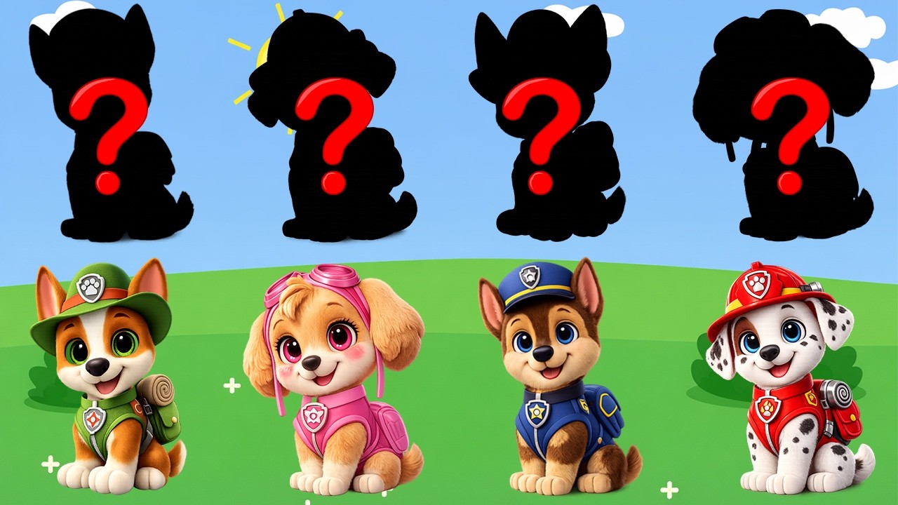 Paw Patrol and Friends Learn Kids Useful Stories for Kids Cartoon Paw Patrol Ultimate Collection #6