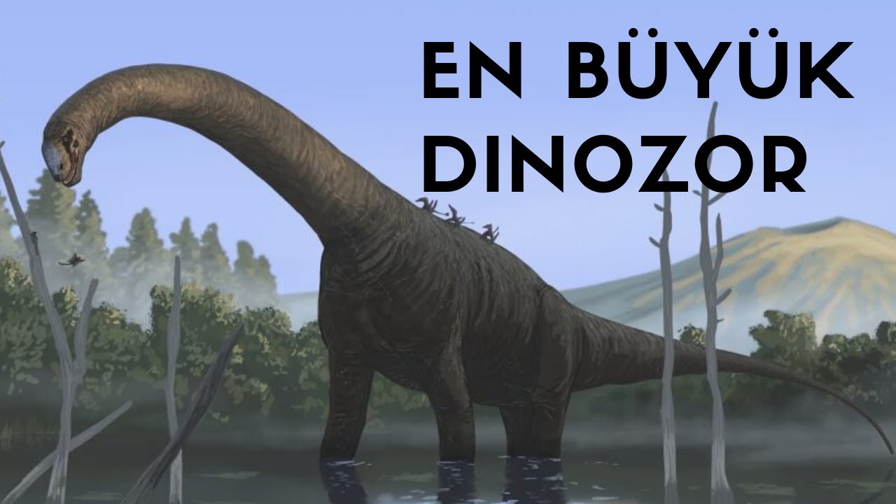 En büyük dinozor neydi?