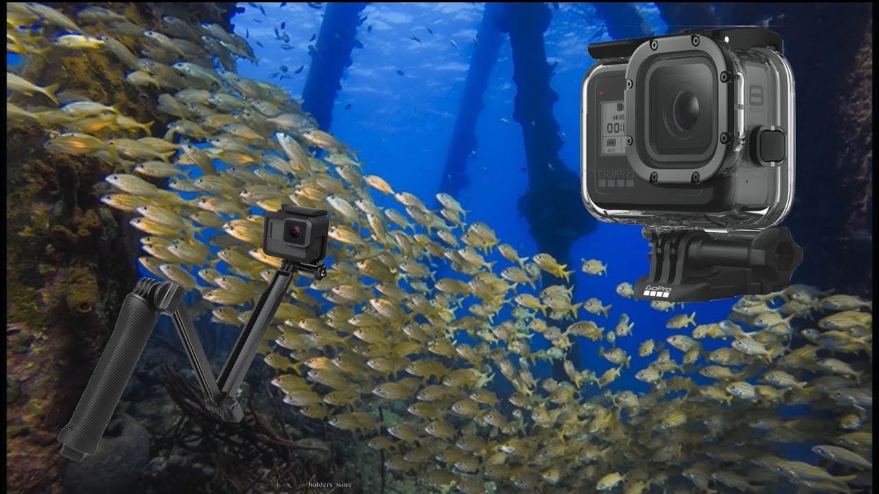 ЛУЧШИЕ крепления GoPro для дайвинга и снорклинга