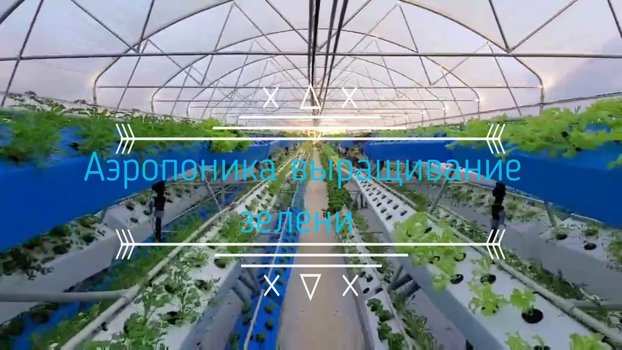 Green Garden Group