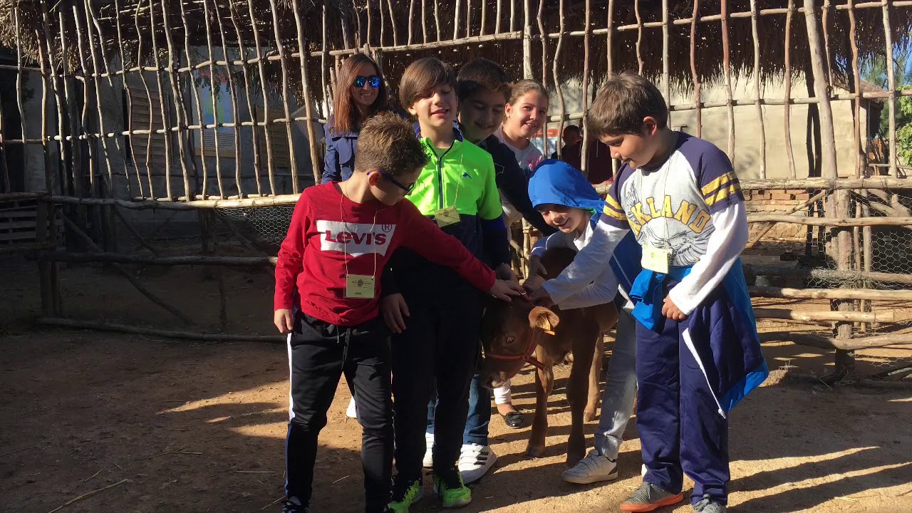 Visita de los alumnos de 4º del CEIP Manuel Pérez de Bollulos