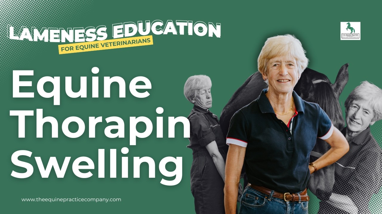 Equine Thorapin Swelling: Identifying Tarsal Sheath Synoviocoeles in Horses