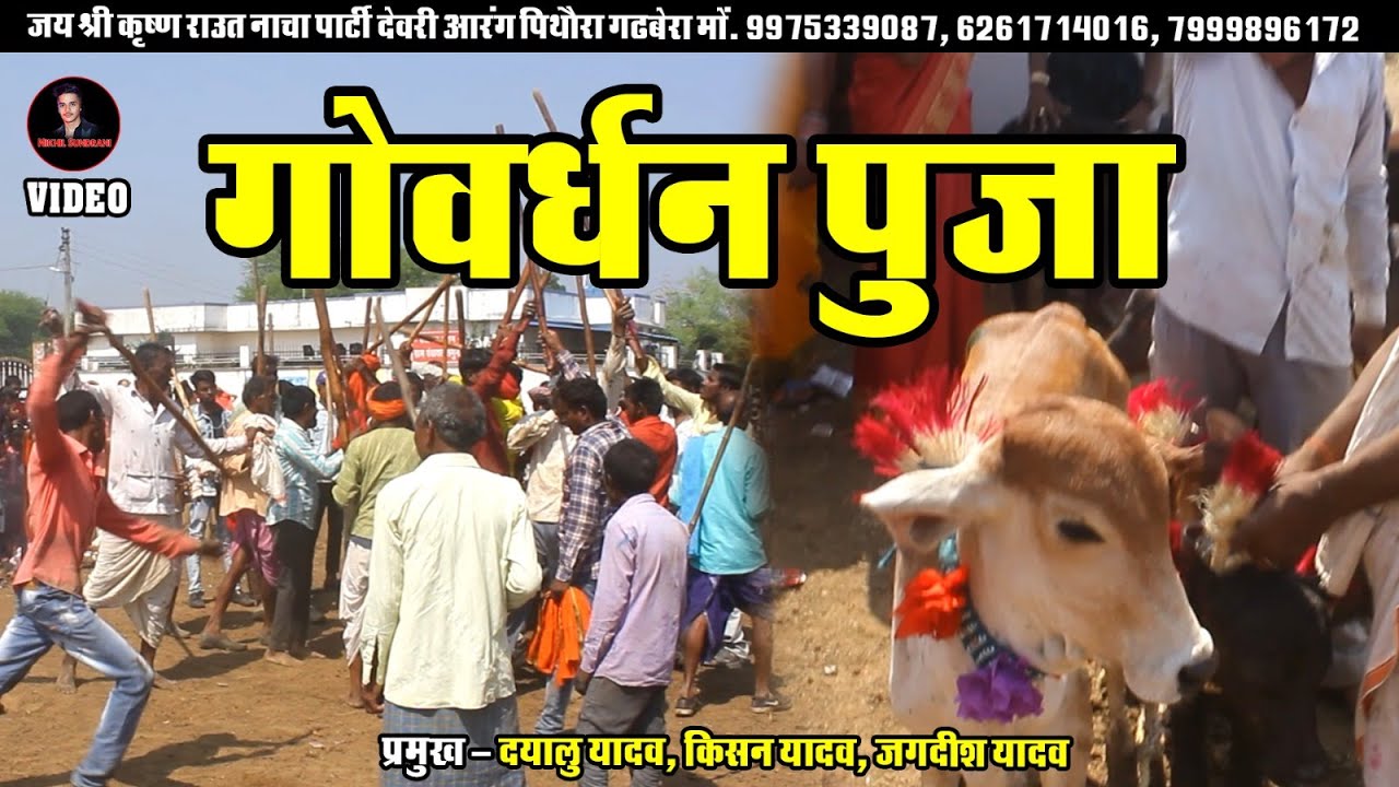 Govardhan pooja - Raut Nacha  || Dayalu Ram Yadav || Video