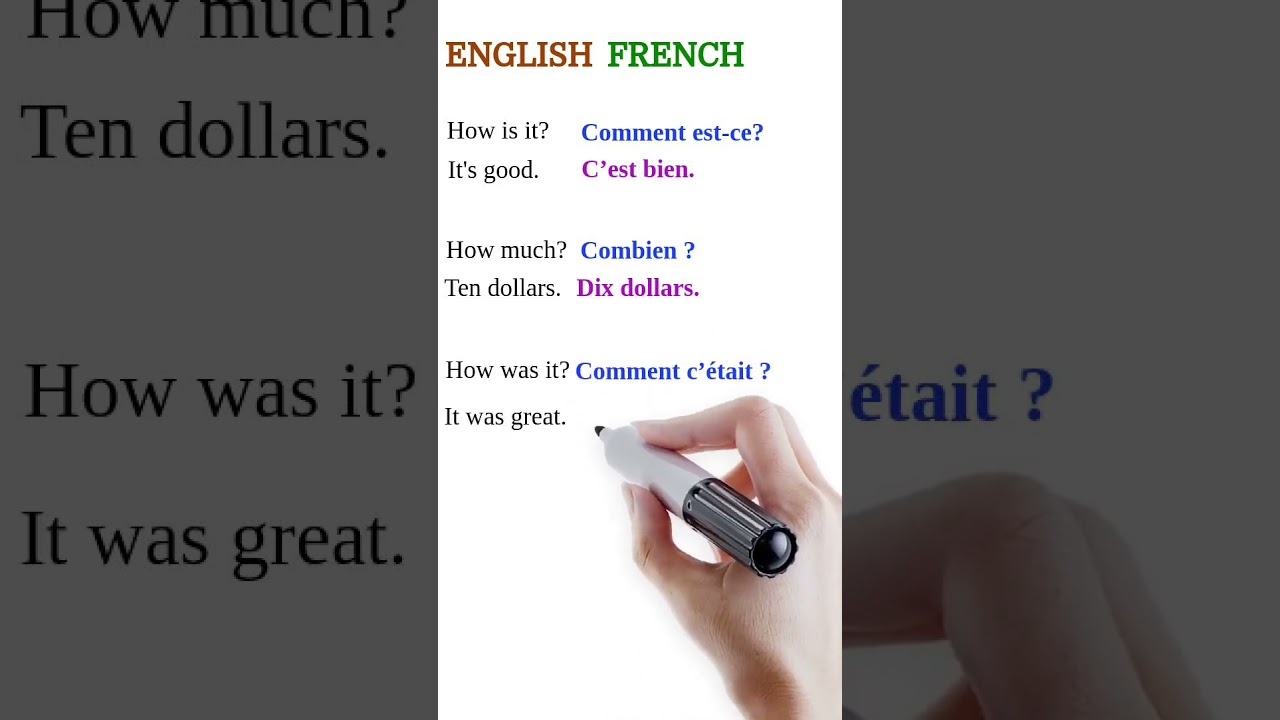 learn COMMON French Questions and Answers for Daily Conversation | learn french 