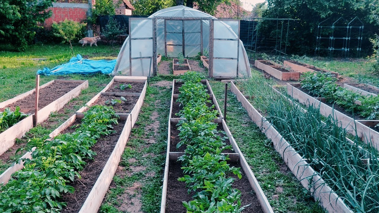 Zavirite U Moju Baštu – Prva Prolećna Tura (Maj 2025) 🌱 - S1E11