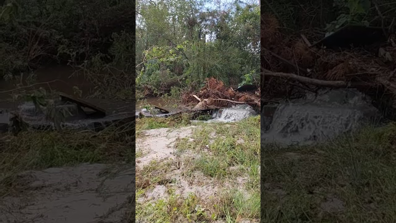 Wainwright Drive: apartments upstream, manholes spewing sewage downstream, Valdosta, GA 2024-11-08