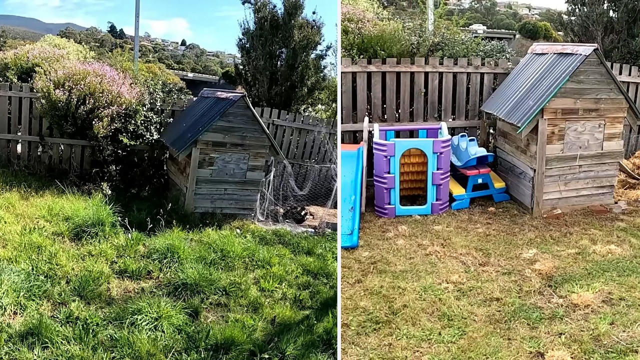Extreme Overgrown Yard Rescue – FREE Cleanup Madness!