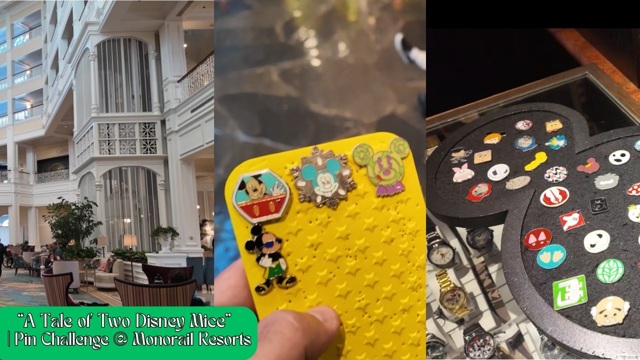 A Tale of Two Disney Mice (and a LOT of Pins!)