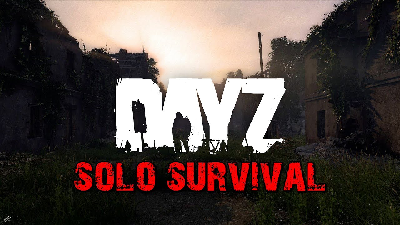 Playing DayZ Solo Is a Journey