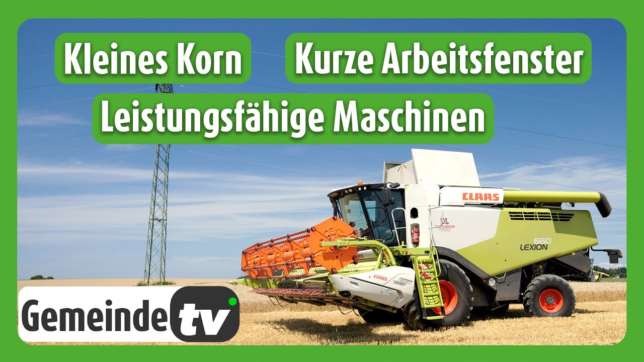 Getreideernte in Österreich mit Lohnunternehmen Deutschbauer