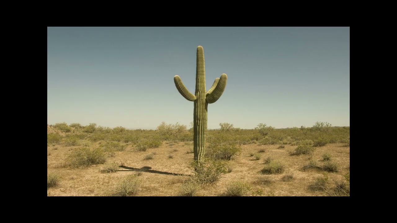 Untitled video   Made with Clipchamp   2026 01 13T215630 581