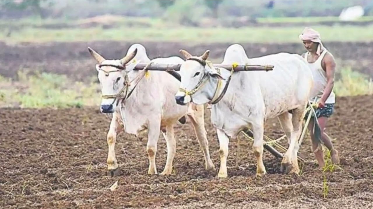 అన్నదాత రైతన్న సుఖీభవ 🌾 