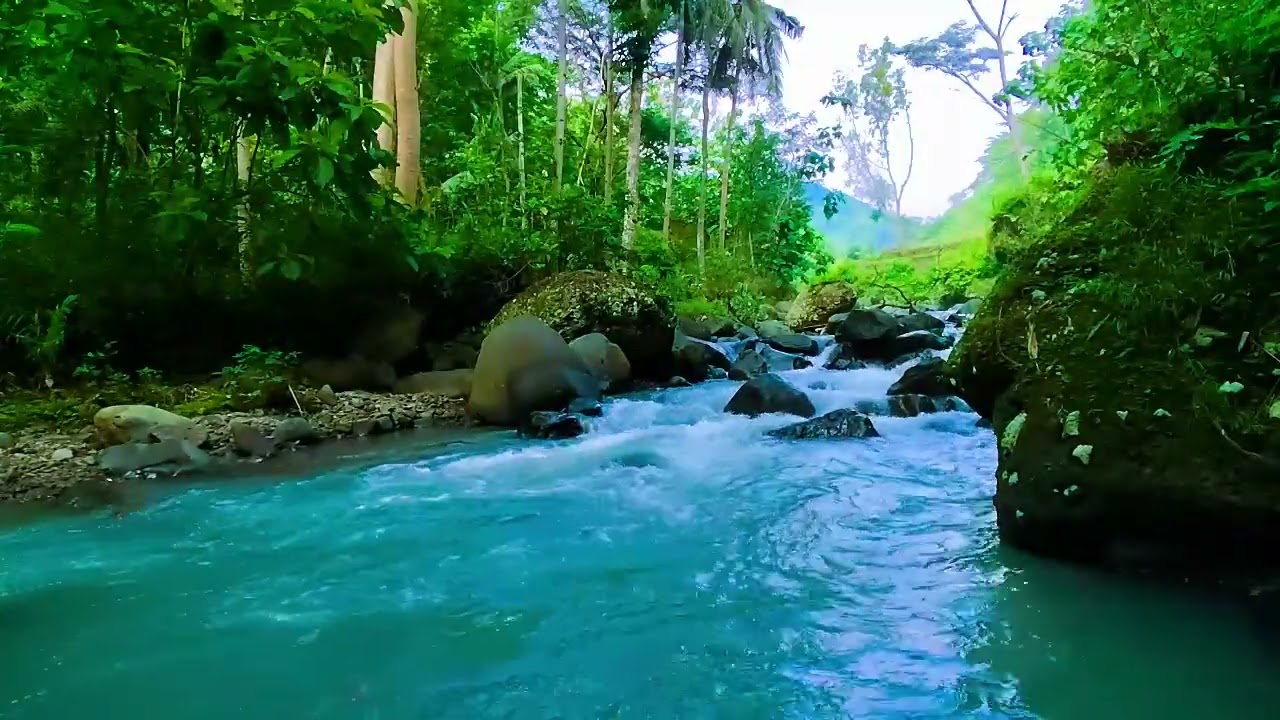 Ambient Water Sounds of a Flowing Stream | Nature White Noise for Sleep, Focus, and Healing