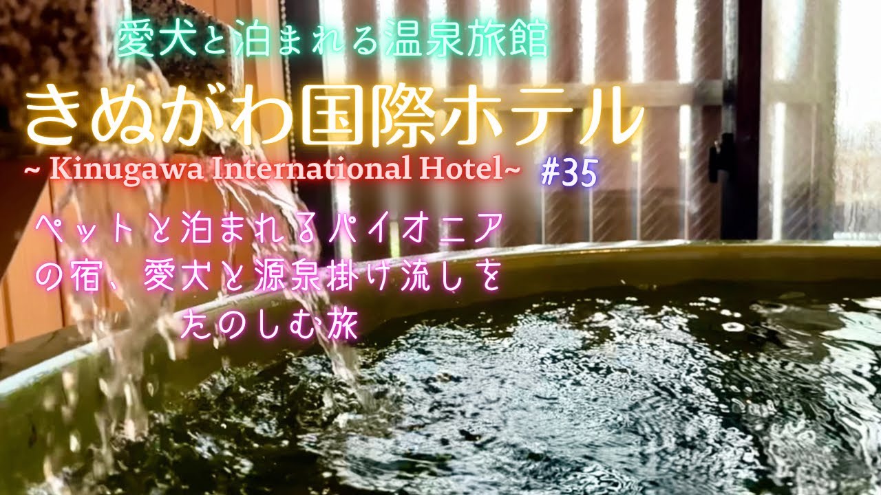 【愛犬と旅行】愛犬泊まれる温泉旅館〜きぬがわ国際ホテル〜Kinugawa International Hotel