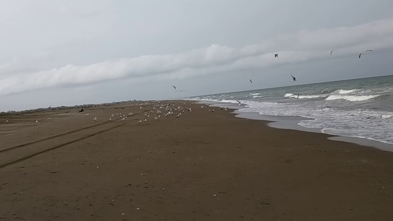 Shinas port beach oman